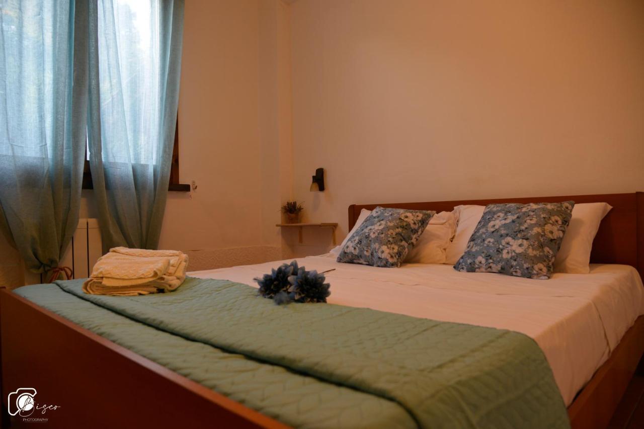 Casa Verde Country House 蒙泰斯库达伊奥 外观 照片