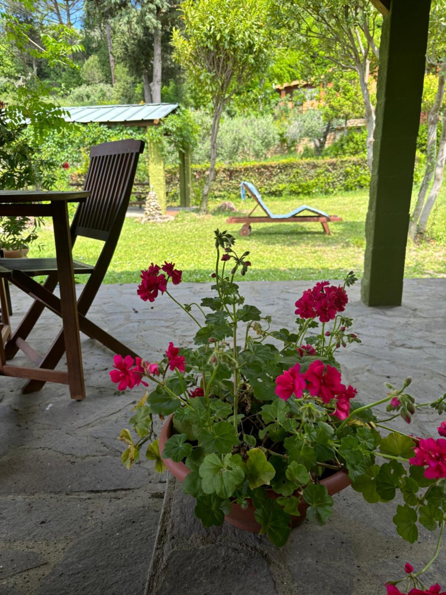 Casa Verde Country House 蒙泰斯库达伊奥 外观 照片